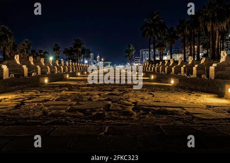 Une avenue de sphinx à tête humaine reliant les temples de Karnak et Louxor Banque D'Images