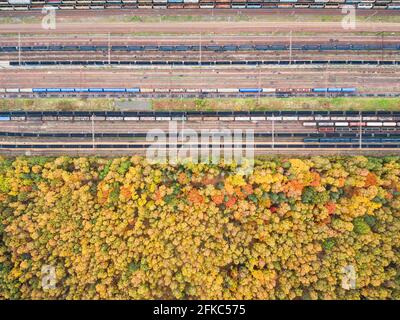 Forêt d'automne et dépôt de chemin de fer vue aérienne de haut en bas Banque D'Images