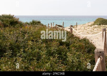 Des pôles autour de la végétation sur les dunes de sable avec l'herbe menant vers l'océan. Plage vacances d'été vibe Banque D'Images