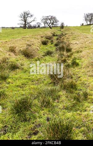 Une vue le long du vallum (fossé) courant à côté du cours du mur d'Hadrien à Irthington, Cumbria Royaume-Uni Banque D'Images