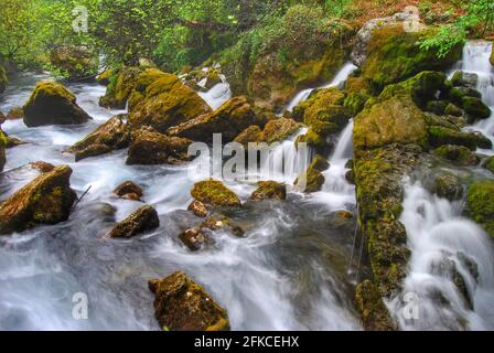 Rivière Sorgue avec rochers à Fontaine-de-Vaucluse Banque D'Images