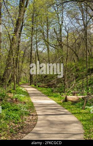 Sentiers de randonnée autour de la région naturelle de Franklin Creek au soleil de printemps. Franklin Grove, Illinois, États-Unis. Banque D'Images