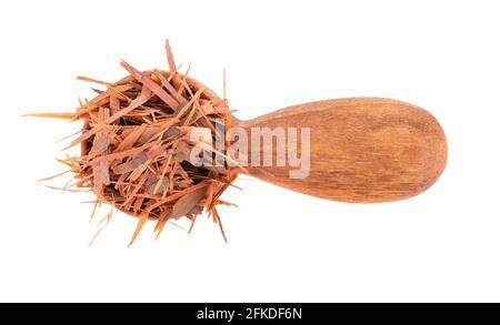 Tisane de Lapacho dans une cuillère en bois, isolée sur fond blanc. Thé sec Taheeboo naturel. Pau d'arco. Tabebuia heptophylla. Vue de dessus. Banque D'Images