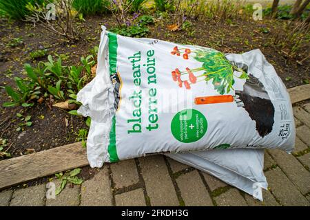 Sacs de sol de jardinage, sol noir, sol, terre pour le jardin, avec des coupures de cour compostées Banque D'Images