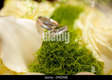 Vue rapprochée sur les fleurs de cala avec anneaux de mariage aux couleurs chaudes. Photo de haute qualité Banque D'Images