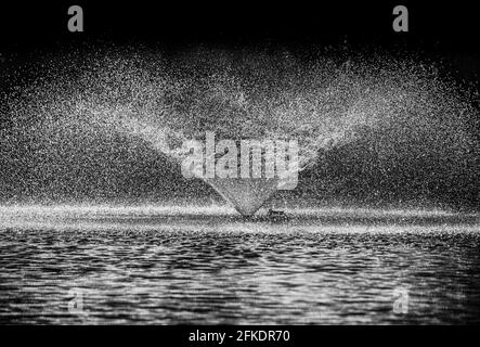 Photo en niveaux de gris d'une fontaine dans un étang Banque D'Images