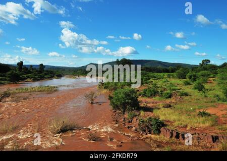 L'Afrique du Sud bénéficie d'un paysage pittoresque comprenant des domaines de thé, des champs de canne à sucre et des routes traversant les champs Banque D'Images