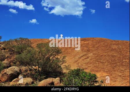 Les adorateurs africains qui mondent une colline rocheuse prient par temps clair avec le ciel bleu à Limpopo, en Afrique du Sud Banque D'Images