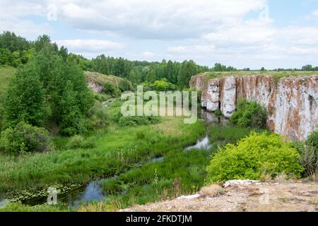 Paysage ensoleillé d'été avec ravin, marais, forêt et côte rocheuse. Cumulus blancs dans le ciel. Herbe de marais vert vif et petits arbres par le ri Banque D'Images