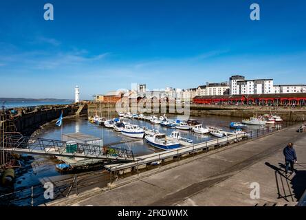 Newhaven Habour à l'extrémité ouest de Western Harbour Leith Docks Edinburgh Scotland avec phare à l'entrée du port et bateaux amarrés à marée basse Banque D'Images