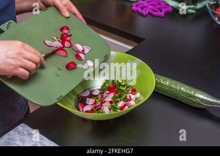 Vue rapprochée du radis féminin pour salade verte. Concept de saine alimentation. Suède. Banque D'Images