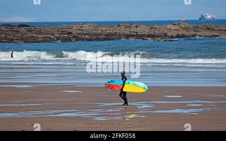 Pease Bay, frontières écossaises, Écosse, météo britannique. 1er mai 2021. Soleil sur la côte pour ce sufer mâle marchant sur la plage avec un surf coloré, matin ensoleillé, température 9 degrés centigrade Banque D'Images