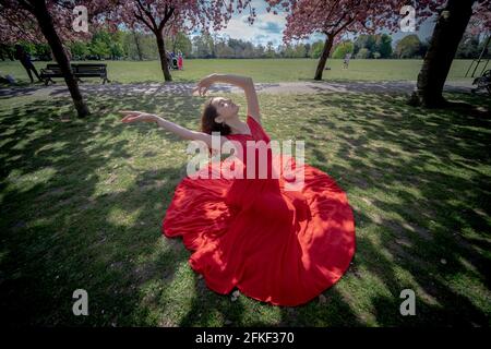 Londres, Royaume-Uni. 1er mai 2021. Météo au Royaume-Uni : le soleil fleurira dans Greenwich Park. Rebecca Olarescu, étudiante en formation de maîtres à la London Contemporary Dance School (LCDS), bénéficie du soleil de vacances en bord de mer en se posant près des cerisiers en fleurs de Greenwich Park. Credit: Guy Corbishley/Alamy Live News Banque D'Images