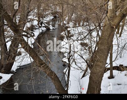Cours d'eau en hiver entouré de neige avec des reflets des arbres dans l'eau. Banque D'Images
