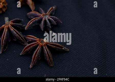 Anis étoilé séché (Ilicium verum)-plantes d'arbre de taille moyenne à feuilles persistantes sur fond de tissu foncé Banque D'Images