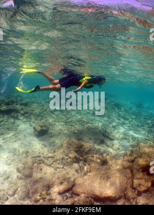 Plongée en plongée baignade près de la surface de la belle mer Banque D'Images