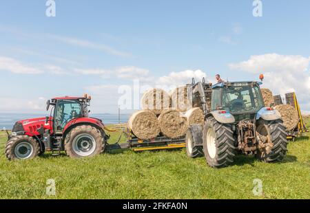 Galley Head, Cork, Irlande. 1er mai 2021. Le fermier Ger DeEasy est guidé par l'entrepreneur Jonathan Crowley alors qu'il charge des balles de foin organique sur un chargeur bas à Galley Head à West Cork, en Irlande. - crédit; David Creedon / Alamy Live News Banque D'Images