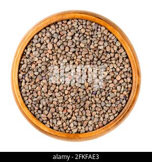 Graines de radis rouges, dans un bol en bois. Raphanus sativus, un légume de racine comestible. Graines pour la germination de radis rouges et violets. Gros plan, par le dessus Banque D'Images