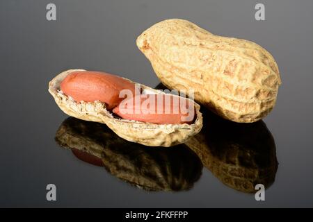 Arachide sur surface noire brillante avec réflexion. Arachide entière et coquille ouverte avec deux grains macro gros plan, haute résolution pleine profondeur de champ. Banque D'Images