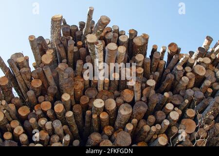 Une pile de billes contre le ciel. Aspen Banque D'Images