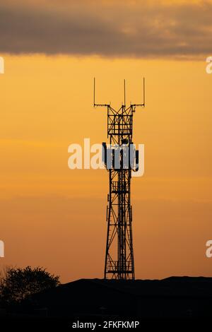 5G émetteurs de radio de téléphone mobile controversé silhouette de mât à l'heure d'or coucher de soleil. Ciel d'été avec nuages et arbre. Banque D'Images