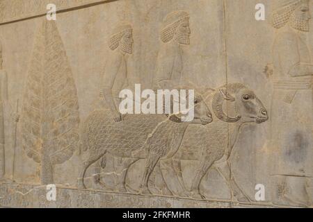 Gros plan de soulagement de personnes portant des cadeaux à la Ruines antiques de la ville de Persepolis en Iran Banque D'Images