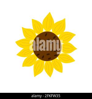 Tournesol jaune style plat simple vecteur dessin à la main illustration florale, champ agricole d'été plante, fleur tête en fleur pour carte de voeux, invitations de mariage, design de vacances, affiche, bannière Illustration de Vecteur