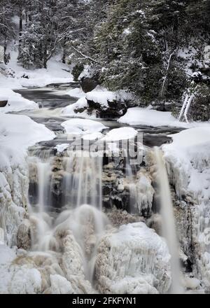 Chutes de Blackwater gelées couvertes de glace et entourées de pins à Davis, Virginie occidentale, États-Unis Banque D'Images