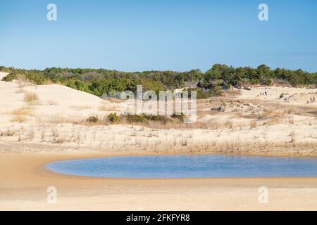 Un petit étang bleu entouré de dunes de sable au parc national Jockey's Ridge dans les Outer Banks, Caroline du Nord, États-Unis Banque D'Images