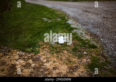 Prise de vue en grand angle d'un drone survolant un champ Banque D'Images