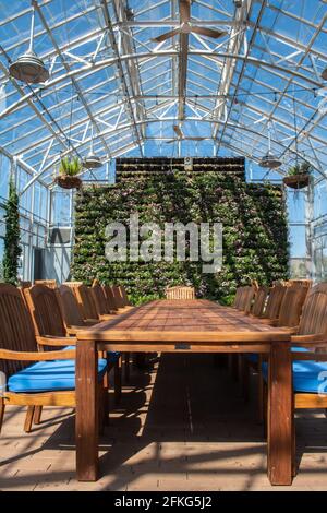 Belle structure de maison verte avec verre et métal. Cette grande fonctionnalité de divertissement et de croissance est située dans Katy TX, une communauté de banlieue de TX Banque D'Images