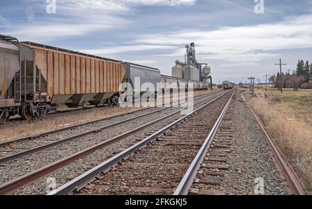 Silos à grains et train sur la prairie près de Bashaw, Alberta, Canada Banque D'Images
