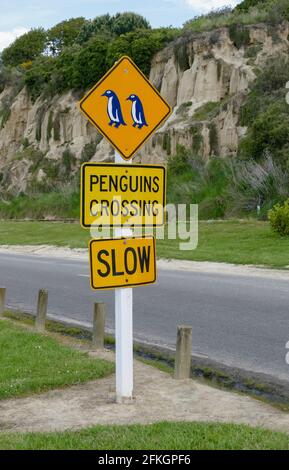 Panneau Penguins Crossing autour d'Oamaru sur l'île du Sud de Nouvelle-Zélande Banque D'Images