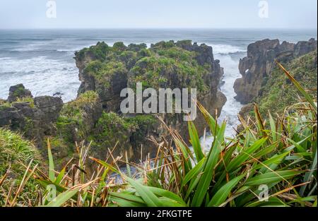 Paysage autour des rochers de Pancake au parc national de Paparoa à L'île du Sud de la Nouvelle-Zélande Banque D'Images