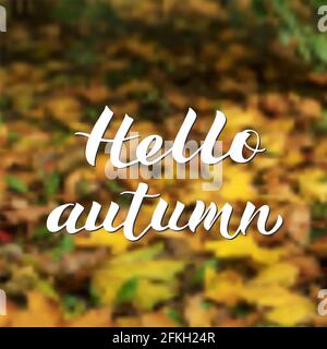 Bonjour automne écrit avec une brosse sur un fond flou de feuilles d'automne colorées. Lettrage calligraphique. Illustration du vecteur d'automne. Modèle facile à modifier Illustration de Vecteur