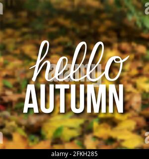 Écrire Hello automne sur un fond flou de feuilles mortes colorées. Illustration du vecteur d'automne. Modèle facile à modifier pour les bannières Web, les médias sociaux, Illustration de Vecteur
