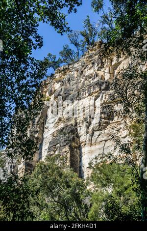 Face à la falaise dans la gorge de Carnarvon, parc national de Carnarvon, région de Maranoa, Queensland central, Australie Banque D'Images