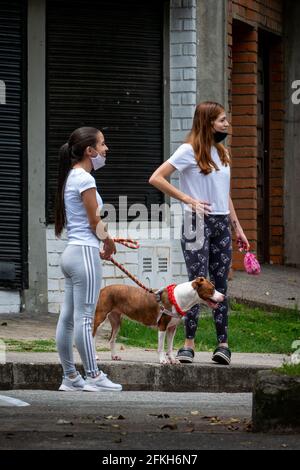 Medellin, Colombie - Mars 28 2021: Les jeunes femmes latines marchent dans un parc avec leur chien Banque D'Images