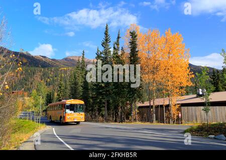 Scène d'automne McKinley Chalet Resort Denali National Park Alaska USA Banque D'Images