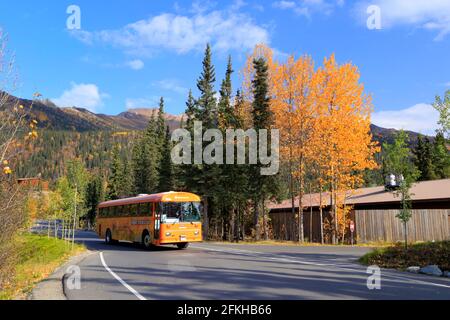 Scène d'automne McKinley Chalet Resort Denali National Park Alaska USA Banque D'Images