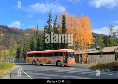 Scène d'automne McKinley Chalet Resort Denali National Park Alaska USA Banque D'Images