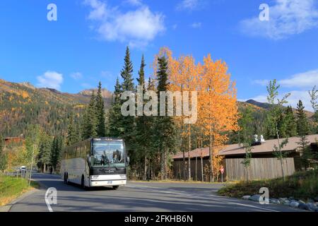 Scène d'automne McKinley Chalet Resort Denali National Park Alaska USA Banque D'Images