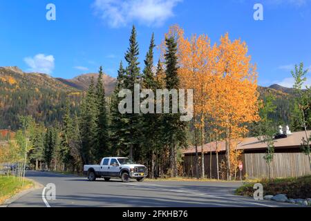 Scène d'automne McKinley Chalet Resort Denali National Park Alaska USA Banque D'Images