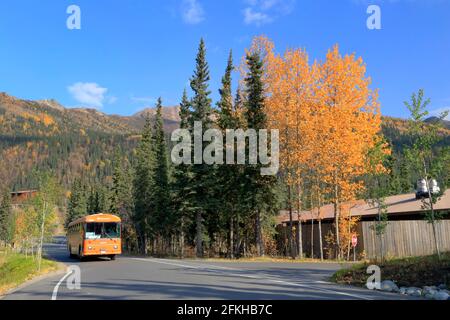 Scène d'automne McKinley Chalet Resort Denali National Park Alaska USA Banque D'Images