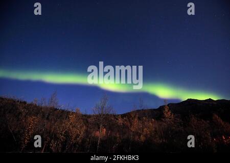 Aurore vue dans le parc national Denali Alaska USA Banque D'Images