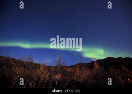 Aurore vue dans le parc national Denali Alaska USA Banque D'Images