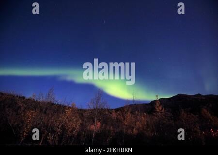 Aurore vue dans le parc national Denali Alaska USA Banque D'Images