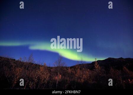 Aurore vue dans le parc national Denali Alaska USA Banque D'Images