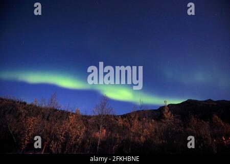 Aurore vue dans le parc national Denali Alaska USA Banque D'Images