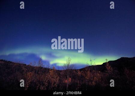 Aurore vue dans le parc national Denali Alaska USA Banque D'Images